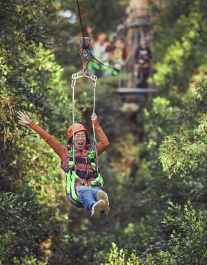 a woman riding a zipline through the canopy at Illawarra Fly Tree Top Adventures, things to do with kids in kiama