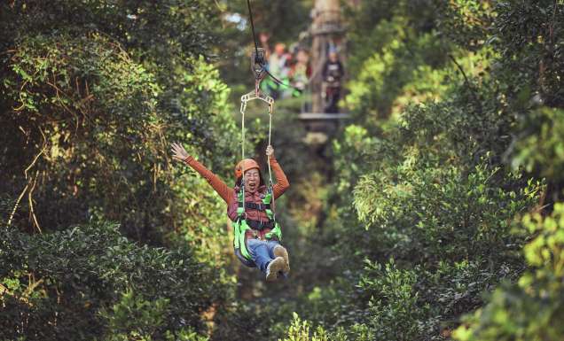 a woman riding a zipline through the canopy at Illawarra Fly Tree Top Adventures, things to do with kids in kiama