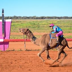Desert Champions Way: Outback Camel Trail