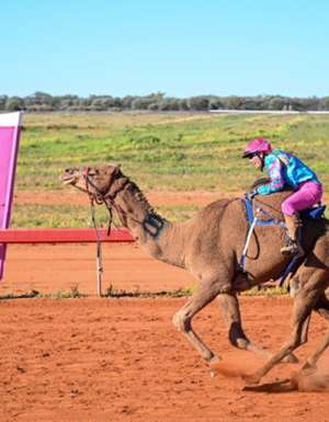 Desert Champions Way: Outback Camel Trail