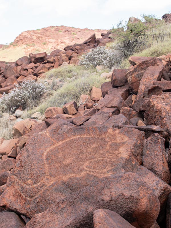 Murujuga Cultural Landscape rock art kangaroo petroglyph