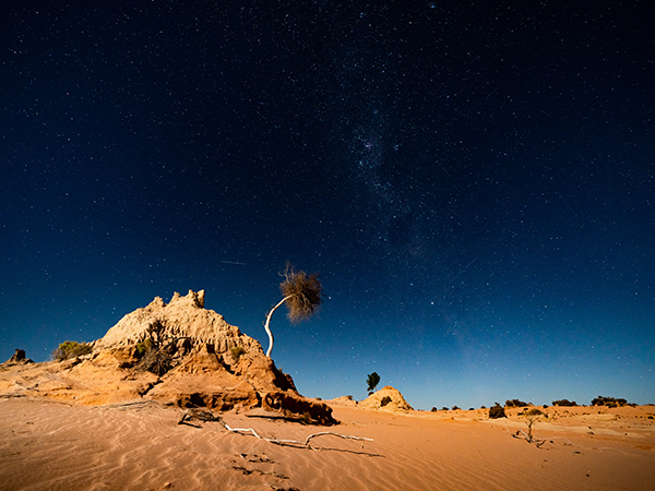 Mungo National Park at night is a vast, silent landscape where ancient dunes glow under moonlight and stars blanket the sky in breathtaking clarity.