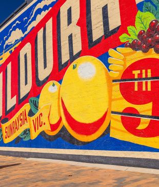 <p>Farm fresh produce to a trail of lights: <i>the ultimate guide</i> to <strong>Mildura</strong></p>
