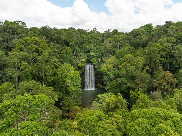 aerial of Millaa Millaa Falls