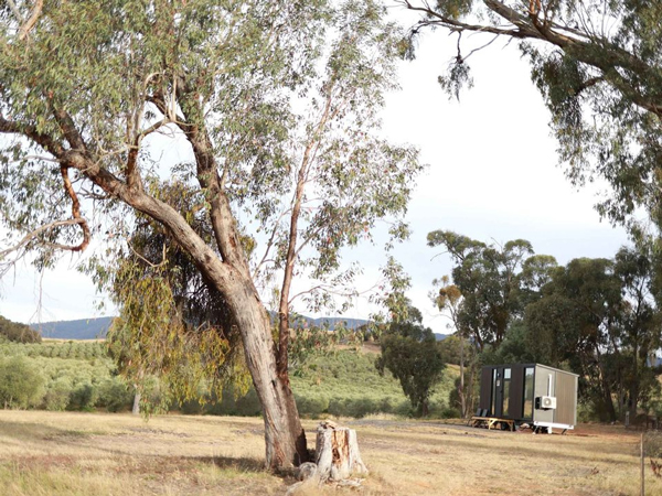 Olive Sanctuary in Taggerty, Victoria