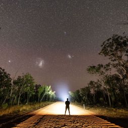 a person standing on the Savannah Way under the stars