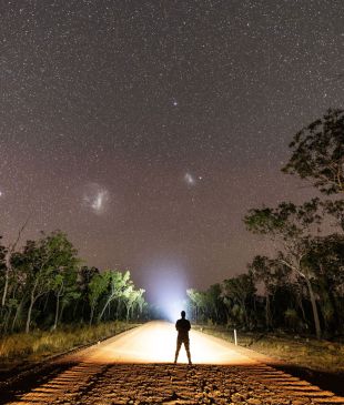 <p>After-dark <i>magic</i> on the <strong>Savannah Way</strong> (no night driving needed)</p>
