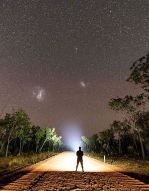 a person standing on the Savannah Way under the stars