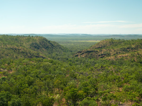 Silkwood landscape in Litchfield National Park