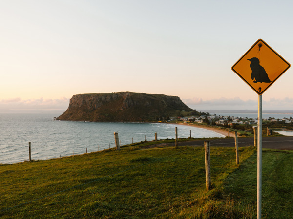 The Nut State Reserve in Tasmania