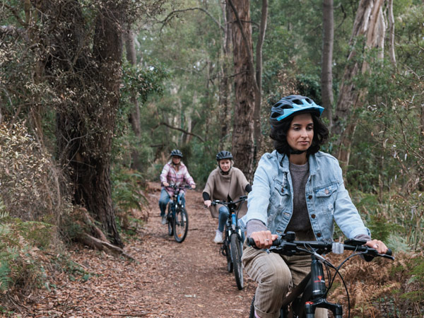 three people riding bikes from Ride With Us on a trail in the woods, Great Ocean Road Itinerary