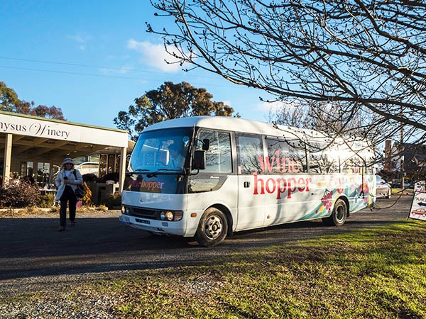 wine hopper tour canberra bus