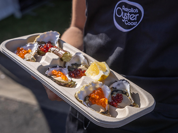 oysters in Narooma