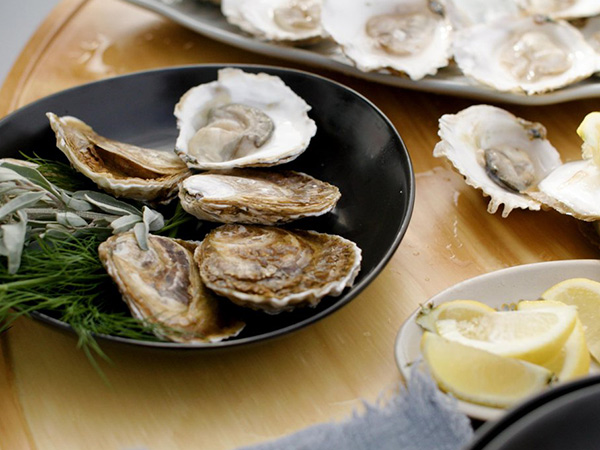 Portalington oysters