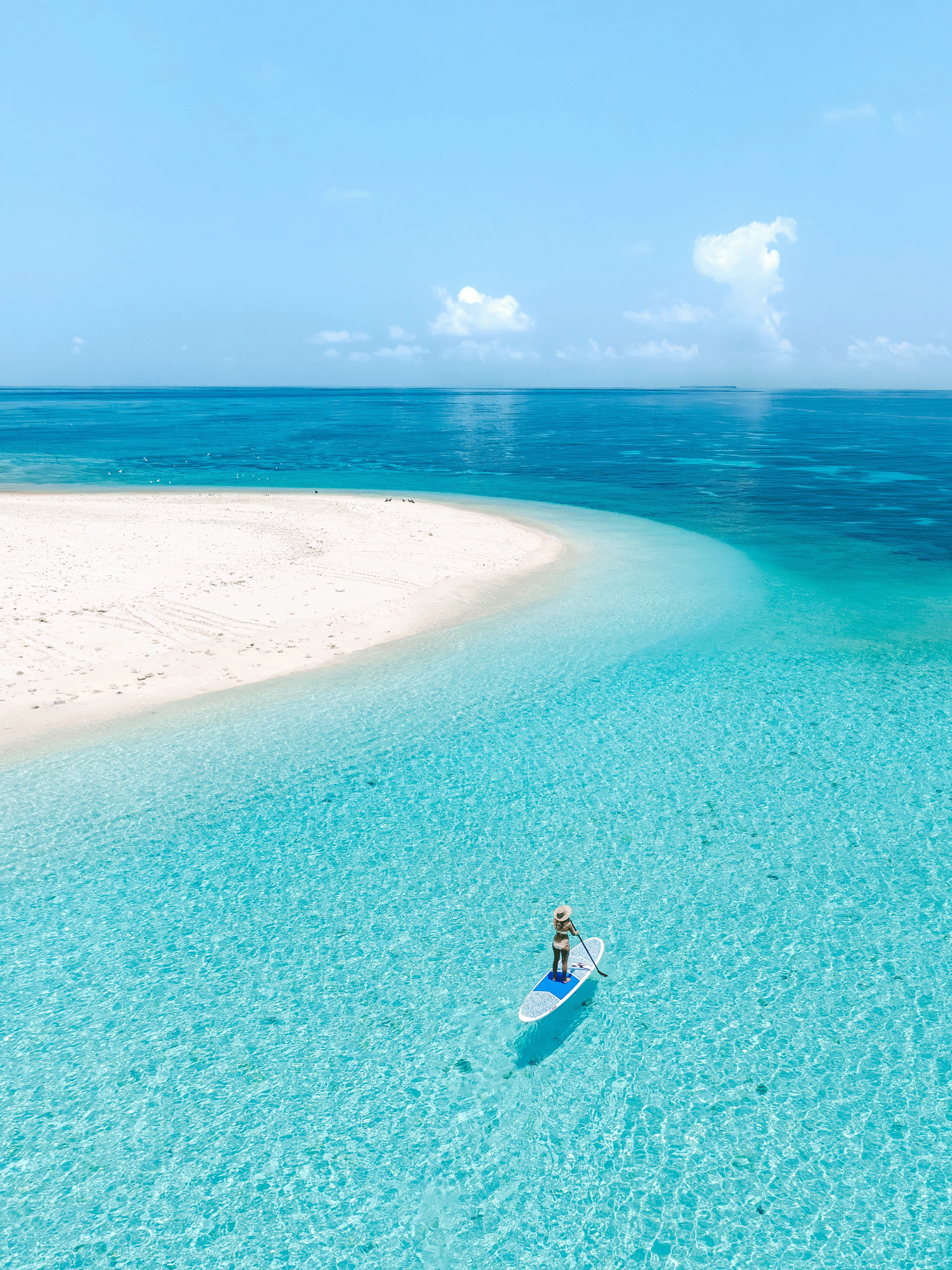wilson island