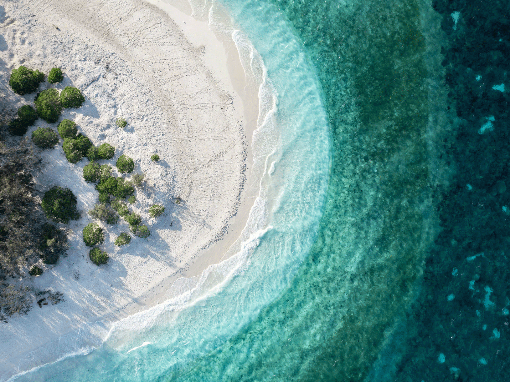 wilson island