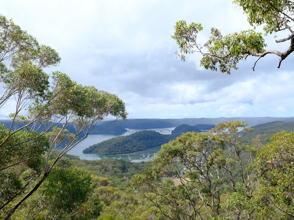 Muogamarra Nature Reserve in Sydney, NSW