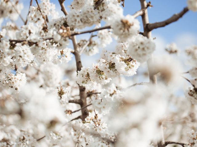 Bloom & Graze, Victora