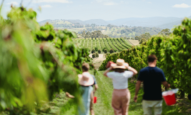 14 spring weekends away across Australia to plan now