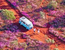 a van parked in a field of wildflowers in WA