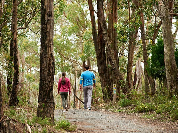 people walking in Cleland Conservation Park