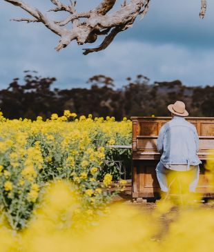 <p><i>This</i> <strong>Vic</strong> walk through <i>golden canola fields</i> ends with beer and wine</p>
