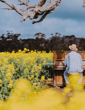 man playing piano in the middle of Cornella Canola Walk