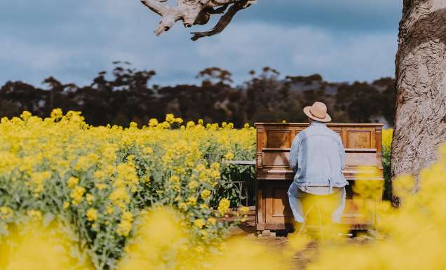 man playing piano in the middle of Cornella Canola Walk