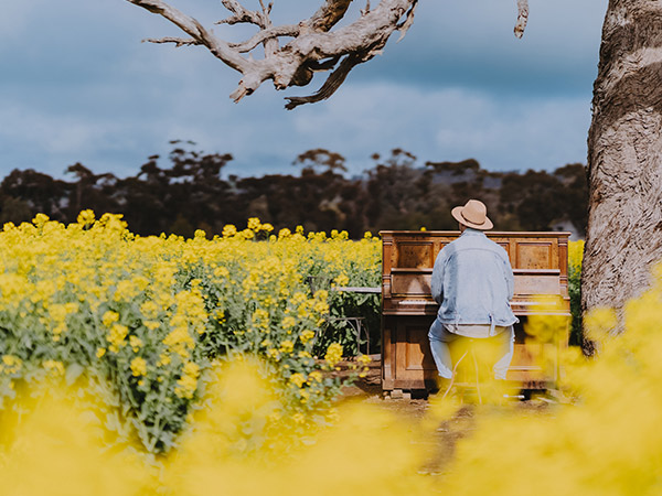 man playing piano in the middle of Cornella Canola Walk