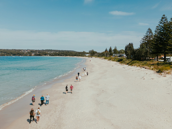 Coastal Forage on the South Coast of NSW