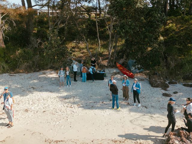 Coastal Forage on the NSW South Coast
