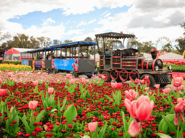 canberra floriade
