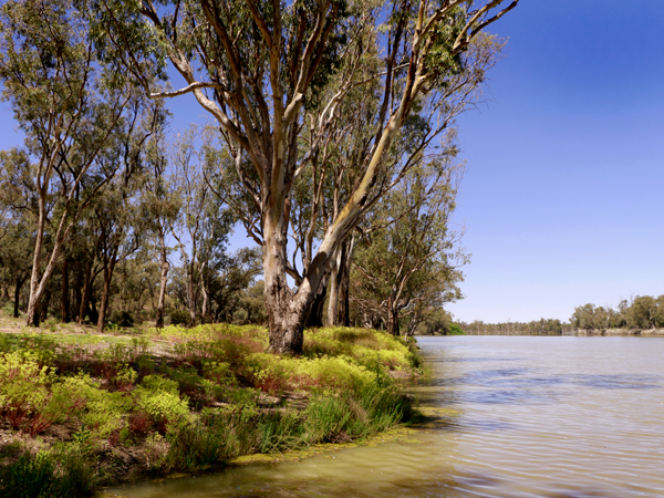 The Murray River in Victoria