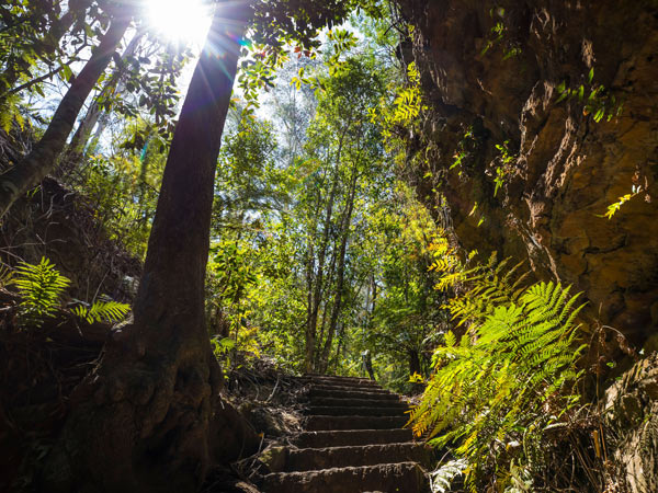 The scenic Grand Canyon Walking Track in the Blue Mountains National Park, Blackheath.