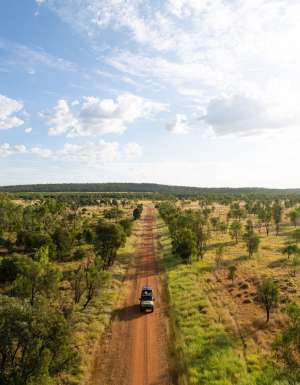 The Capricorn Way road trip through Blackdown Tablelands National Park