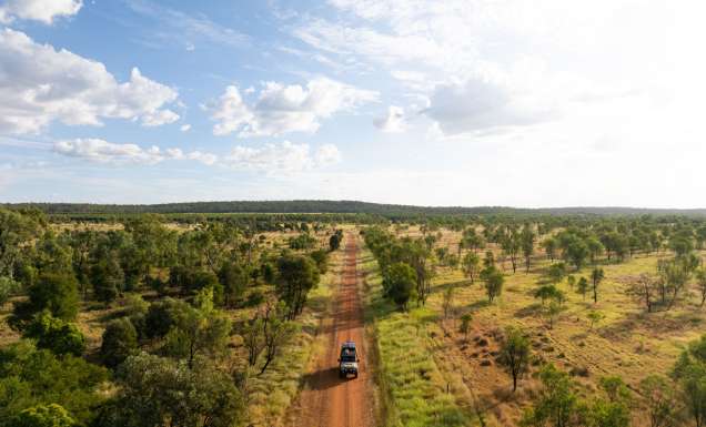 The Capricorn Way road trip through Blackdown Tablelands National Park