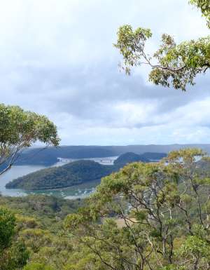 This nature reserve near Sydney is open for just 6 weeks a year