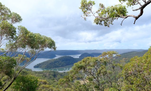 This nature reserve near Sydney is open for just 6 weeks a year