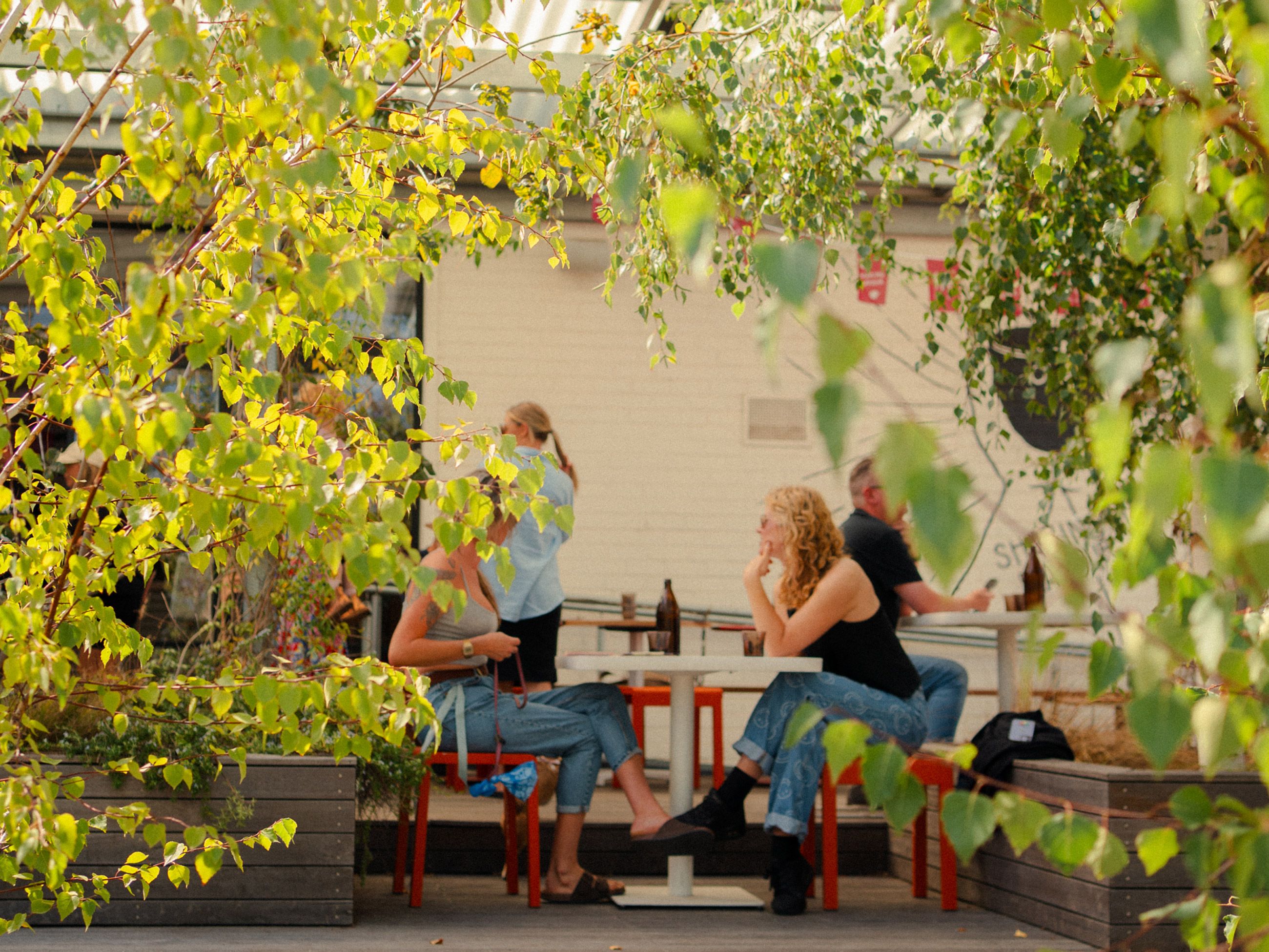 lush outdoor space at ONA Coffee