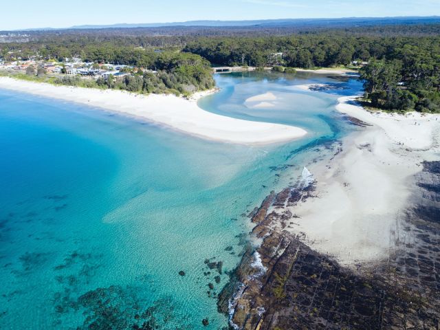 Coastal Forage on the NSW South Coast