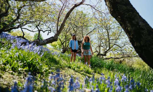 Mount Lofty Botanic Garden walking trails