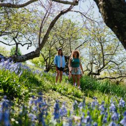 Mount Lofty Botanic Garden walking trails