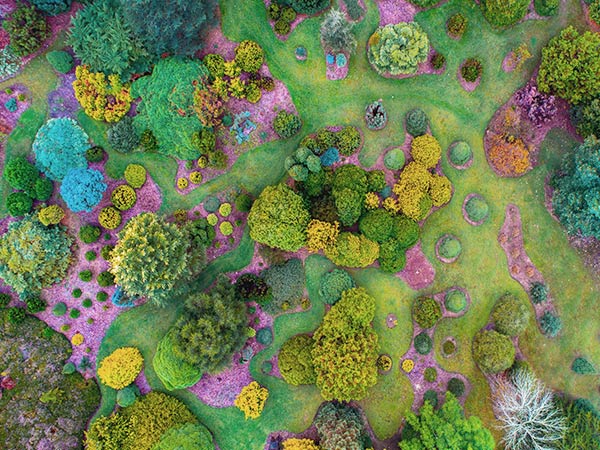 aerial of mount lofty botanic garden