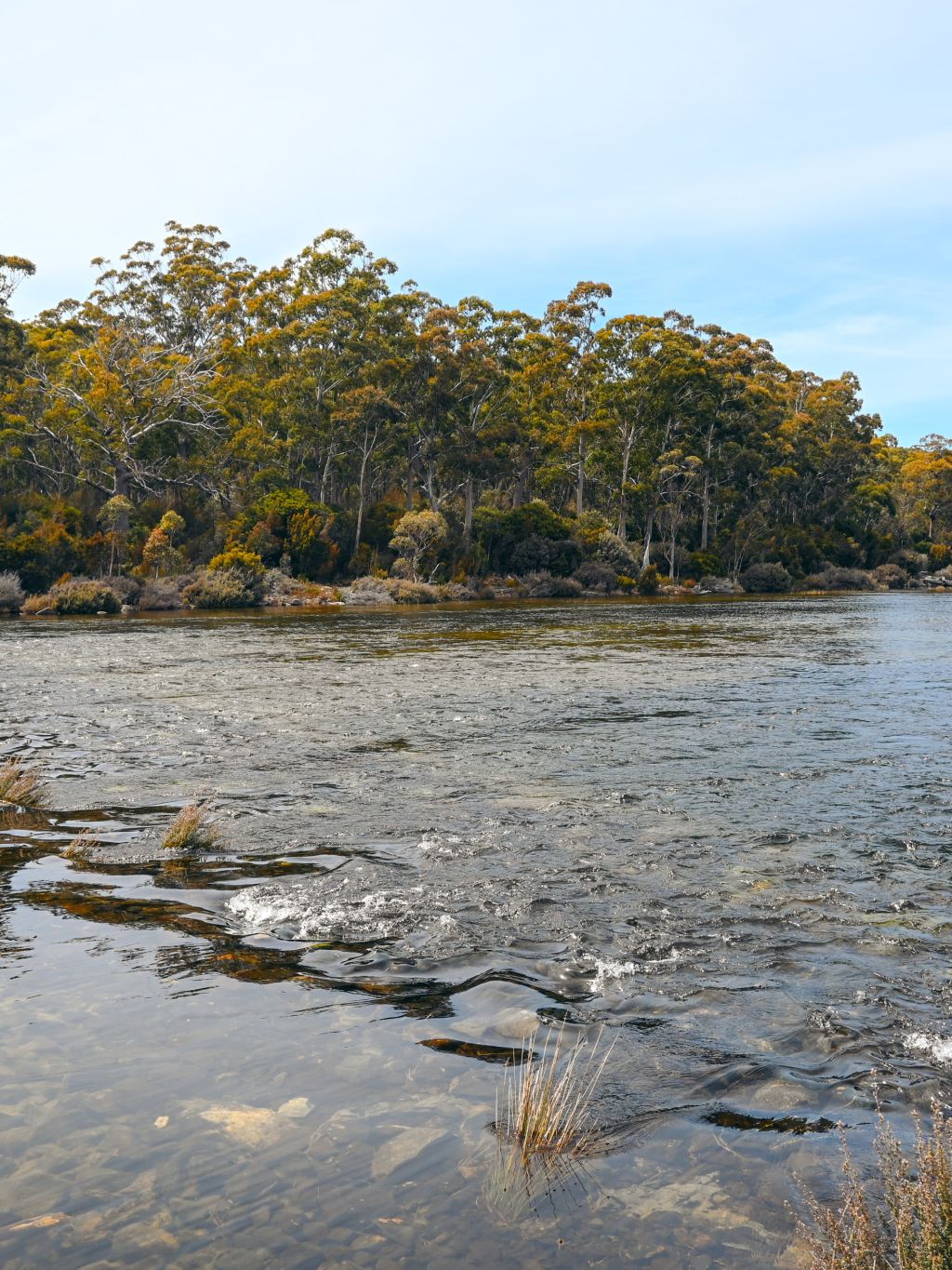 The weir flows into the Derwent River.