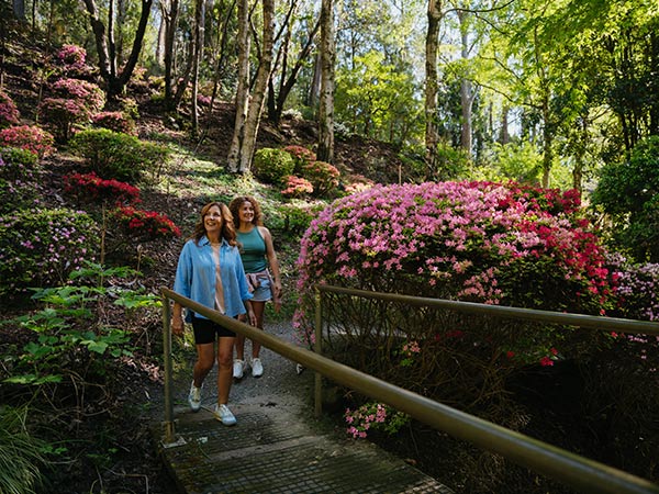 women on Rhododendron Gully Mount Lofty Botanic Garden walking trails