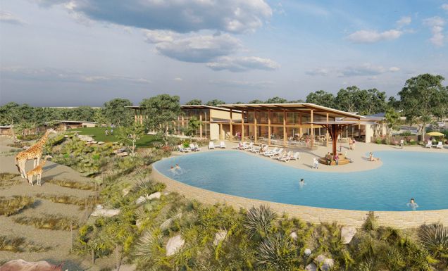 Serengetti resort pool render Taronga Western Plains Zoo