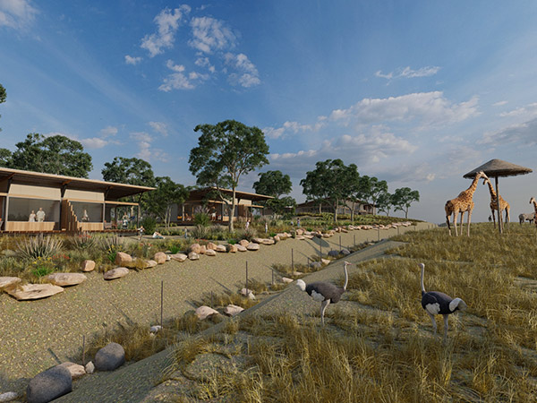 Serengetti room exterior render Taronga Western Plains Zoo