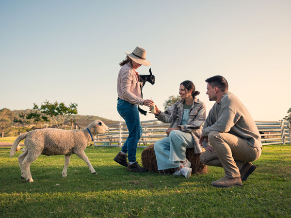 A couple enjoys feeding lambs and goats at the Giving Farm on the Central Coast.