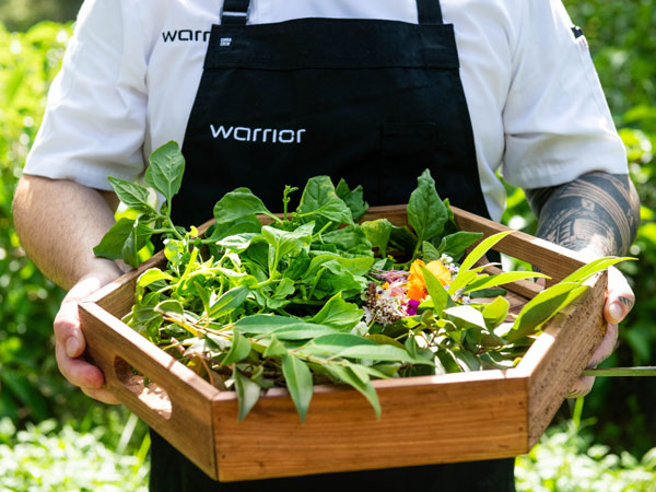 Fresh produce from the garden at Warrior Restaurant and Bar