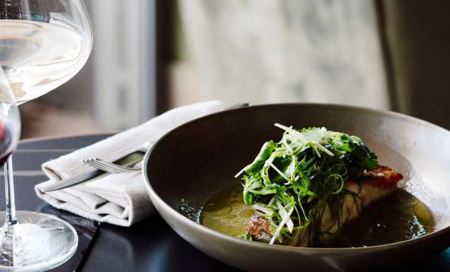 A dish with fish and greens.